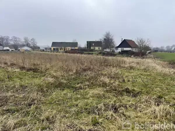 En åben mark med uslået græs ligger foran nogle huse i baggrunden, omgivet af trækroner under en grå, overskyet himmel.