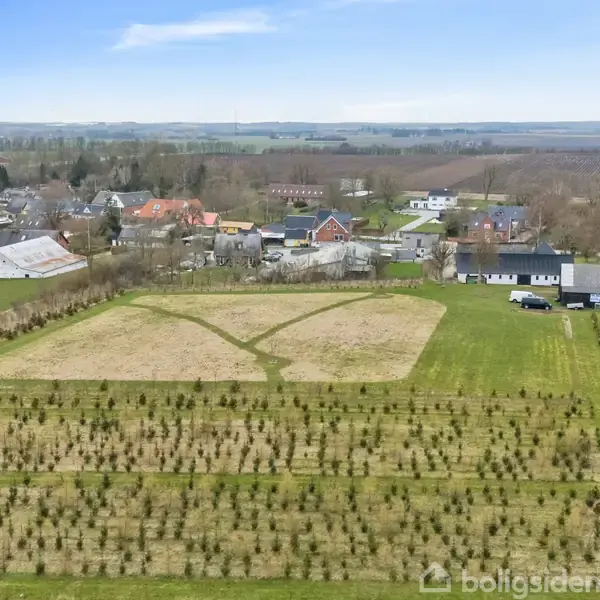 En stor mark med plantede træer vokser i rækker. I baggrunden ses en landsby med huse og marker. Landskabet er fladt med en klar, blå himmel.