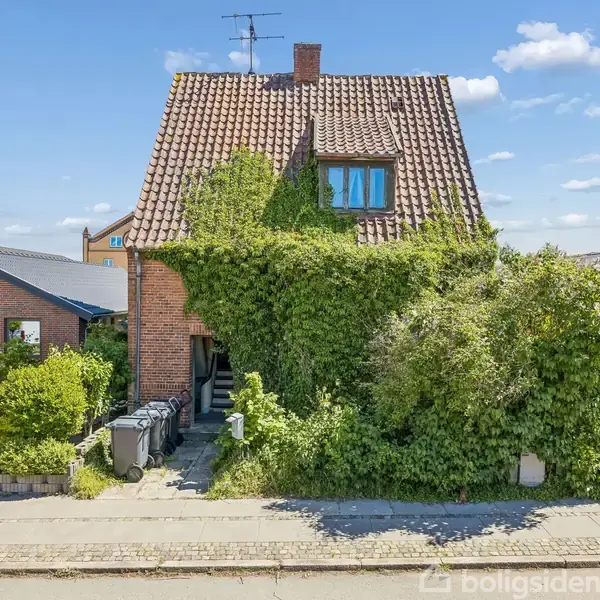 Murstenshus dækket af frodig klatreplante, der dominerer facaden. Placeret mellem to andre boliger i et boligområde, med klar blå himmel som baggrund.