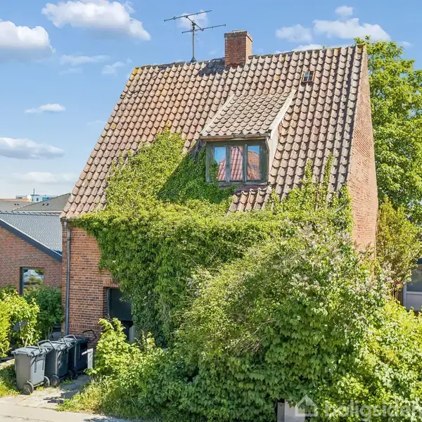 Et murstenshus dækket af grønne klatreplanter, står omgivet af andre huse og buske. Sollys skinner over den keramiske tagflade, og tre affaldsspande er placeret foran huset.