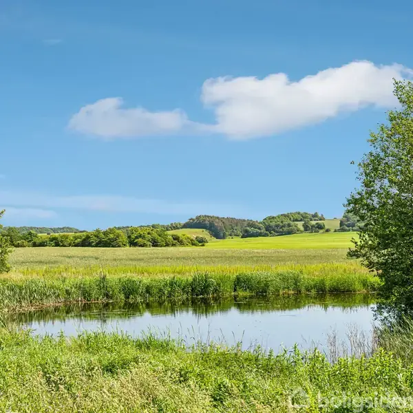 En lille sø omgivet af frodige, grønne træer og græs, med en baggrund af bølgede marker og en klar blå himmel med få skyer.