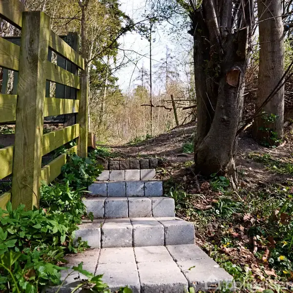 En stentrappe går opad, omgivet af grønne planter og et træhegn til venstre. Træer fylder baggrunden i et skovområde med sollys gennem bladene.