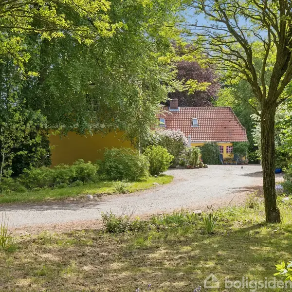 Et gult hus med rødt tegltag ligger omgivet af frodig vegetation. En grusvej fører hen til huset midt i en skovklædt have, som er badet i sollys.