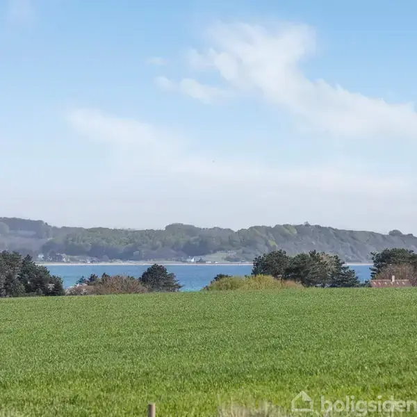 En frodig grøn mark strækker sig mod en skovklædt horisont. I det fjerne ses en blå bugt omgivet af træer. Himmel med lette skyer over landskabet.