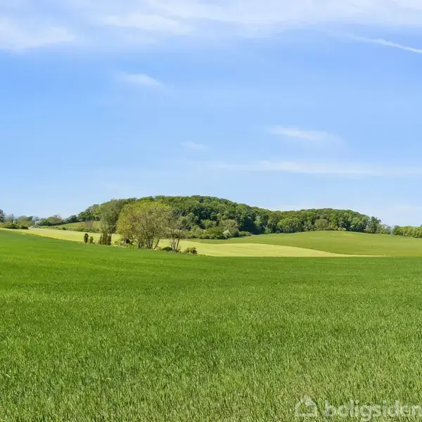 En stor grøn mark breder sig i det åbne landskab, omgivet af træer og bakker, under en klar blå himmel uden skyer.