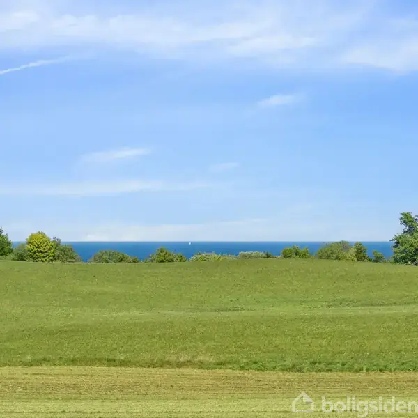 Grøn mark breder sig mod horisonten med en tæt skovlinje og havet i baggrunden. Himlen er blå med lette skyer.