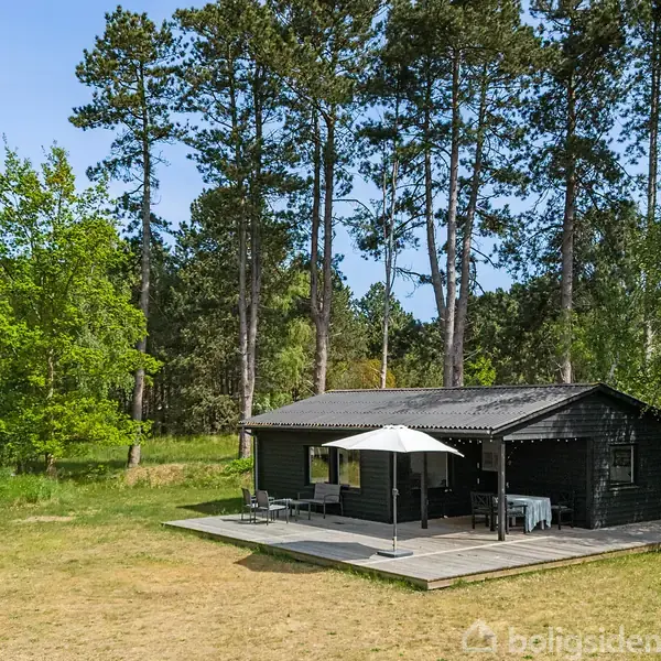 En lille sort træhytte står stille i en skovklædt have. På terrassen er en åben parasol og stole. Omkring hytten ses høje træer og grøn vegetation under en klar blå himmel.