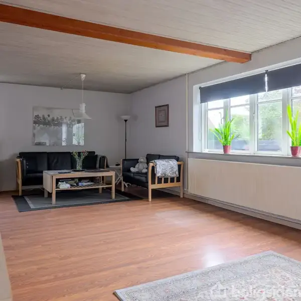 Stuen har mørke lænestole og et sofabord centreret på en tæppe. Store vinduer med planter giver lys. Rummet er rummeligt med trægulv og hvide vægge, skaber en afslappet atmosfære.
