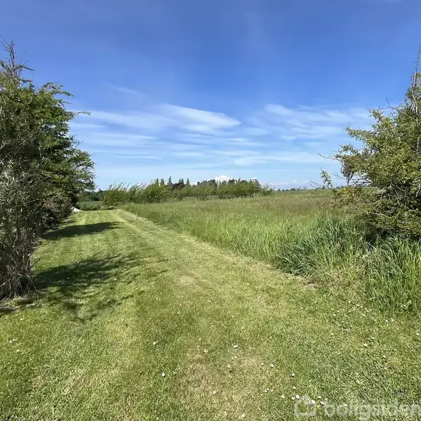 Græsplæne strækker sig gennem åbent landskab med grønt buskads på begge sider under en blå himmel med lette skyer.