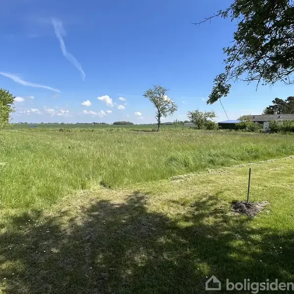 Græsmark under blå himmel med enkelte skyer, omkranset af træer og buske; en lille bygning anes til højre.