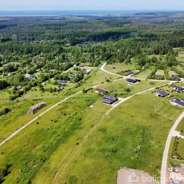 Landskab med spredte huse ligger på en bakke, omgivet af grønne marker og skove. Veje forbinder husene, og en stor skov strækker sig i baggrunden mod horisonten.