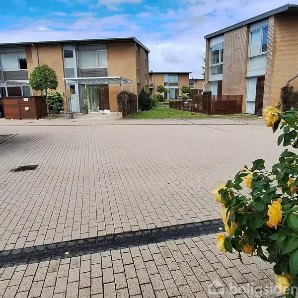 En gade med brolægning foran rækkehuse med haveindhegninger. En plante med gule blomster står i forgrunden til højre. Husene er omgivet af græs og små træer.