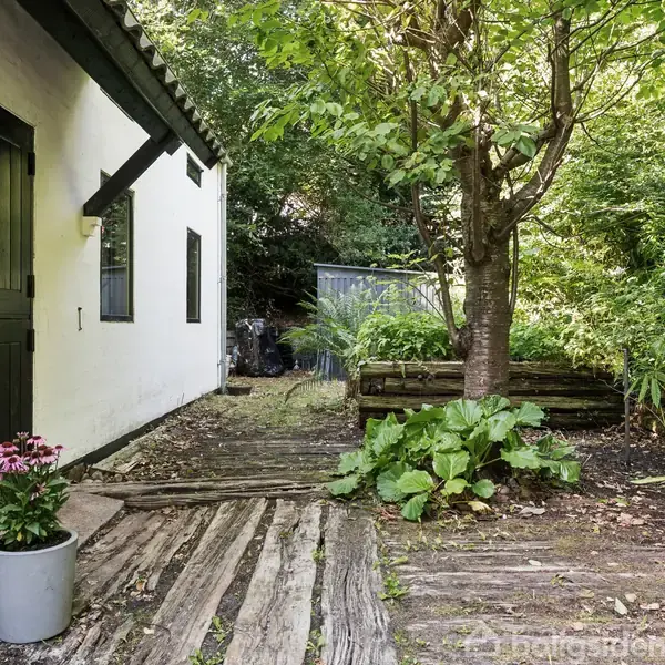 Hvidt hus med sort dør står til venstre, omgivet af træer og frodig have. En sti af træplanker fører gennem haven, med blomster i krukker langs stien.