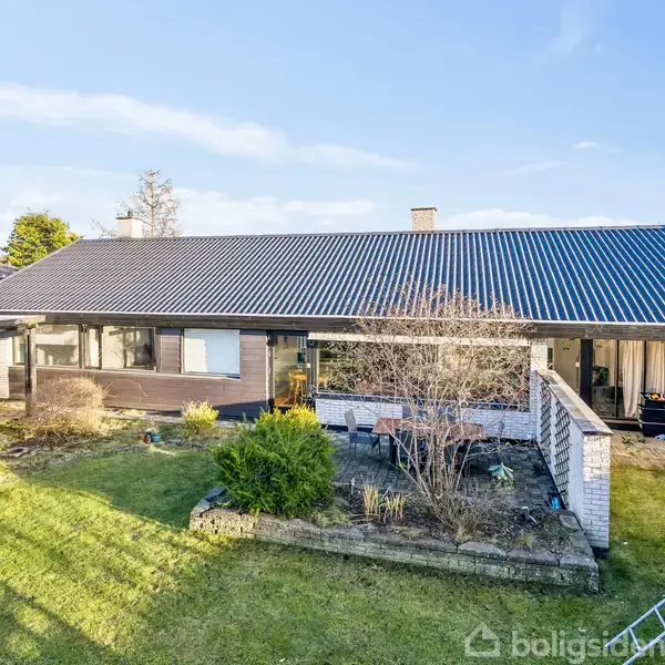 En moderne bungalow med sort tag står i en velholdt have. Trampolin i højre forgrund, buske omkring. Klar blå himmel og andre huse i baggrunden.