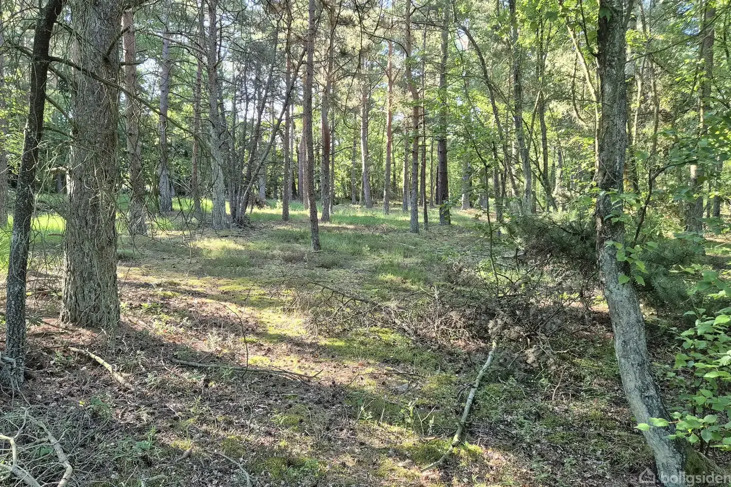 Fritidsgrund på Blågranvej 18, 9940 Læsø