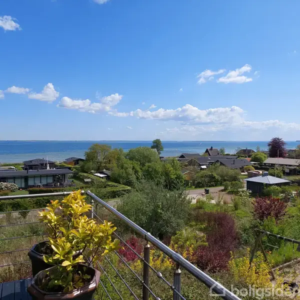 Plante i potte står stille på altan med udsigt over sommerhusområde og hav i baggrunden under en klar blå himmel med få skyer.