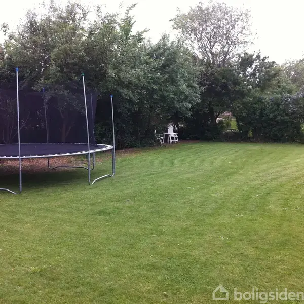 En trampolin står i hjørnet af en grøn have omkranset af buske og træer. En hvid plasticstol er synlig i baggrunden.