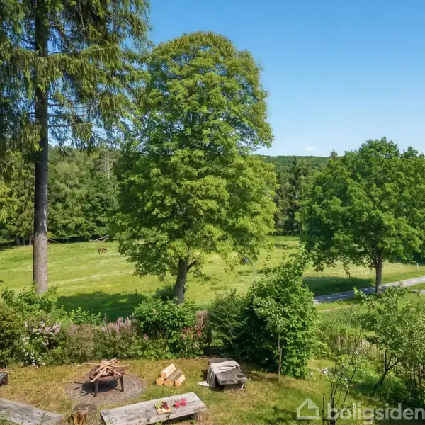 En udendørs siddeplads med træbænke og et ildsted er omgivet af frodige grønne træer og buske. I baggrunden ses en åben græsplæne og en skov i solrigt vejr.