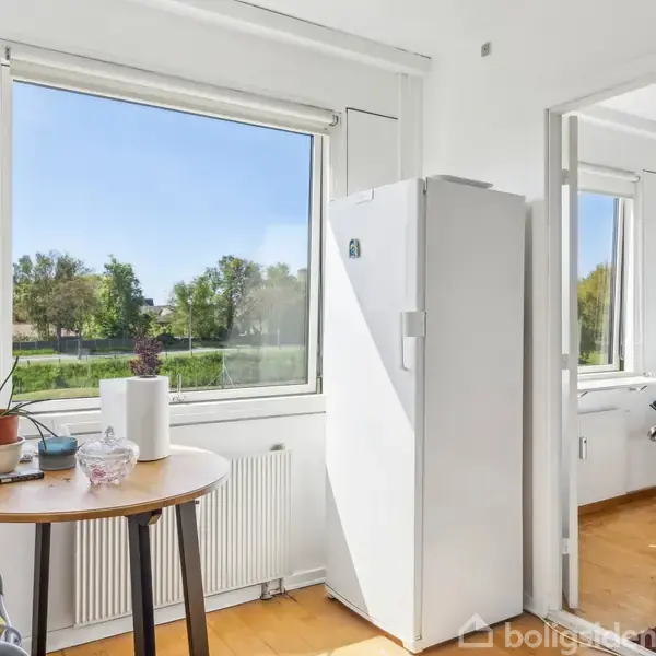 Køleskab står i et lyst køkken med vindue udsigt over natur. Rundt bord med planter og køkkenrulle til højre. Ovnelement til venstre. Sollyset skinner ind.