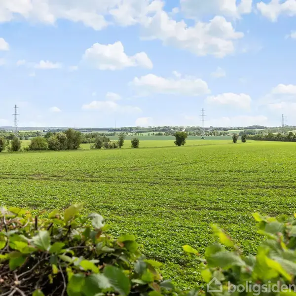 Grøn mark med tæt lav vegetation strækker sig ud i horisonten, mens spredte buske står stille under en klar blå himmel med lette, hvide skyer.