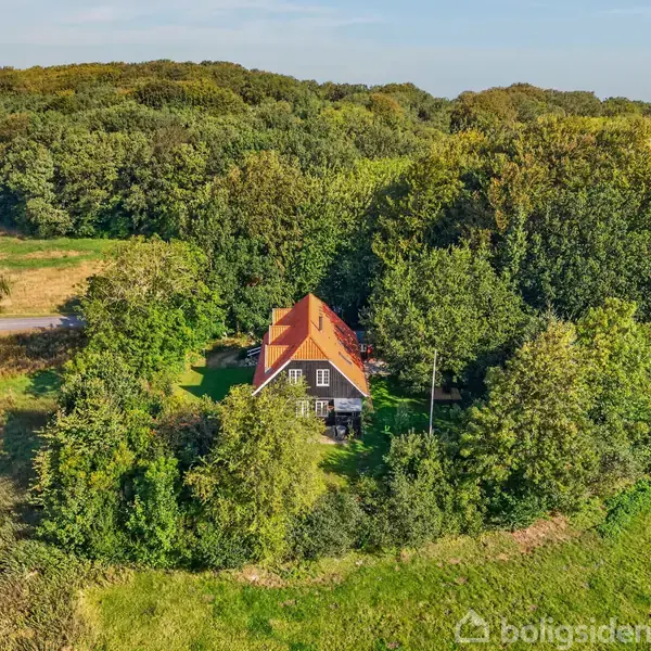 Hus med rødt tag omgivet af tæt skov og grønne marker. Bygningen er centralt placeret blandt træerne, hvilket skaber en følelse af afsondrethed og naturharmoni.