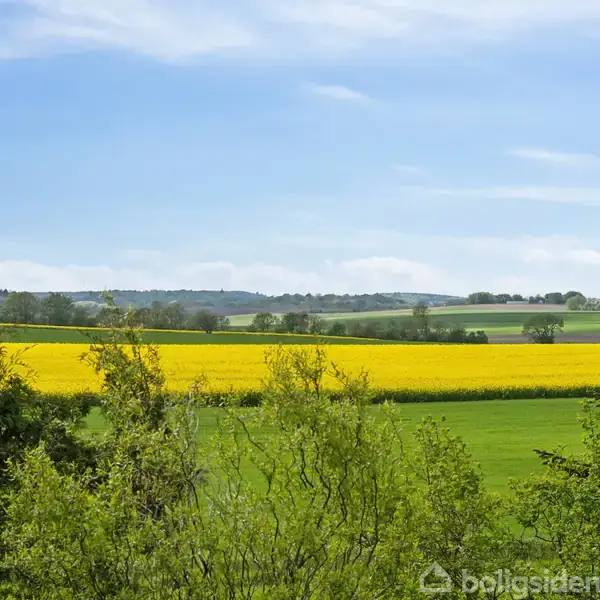 En gul rapsmark strækker sig gennem et frodigt, grønt landskab under en blå himmel med spredte skyer, omgivet af forskellige træer og buske.