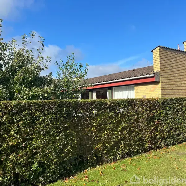 En gulstensbygning står bag en veltrimmet hæk i en have, der er badet i solskin. Bladene på træerne omkring huset er grønne under en blå himmel.