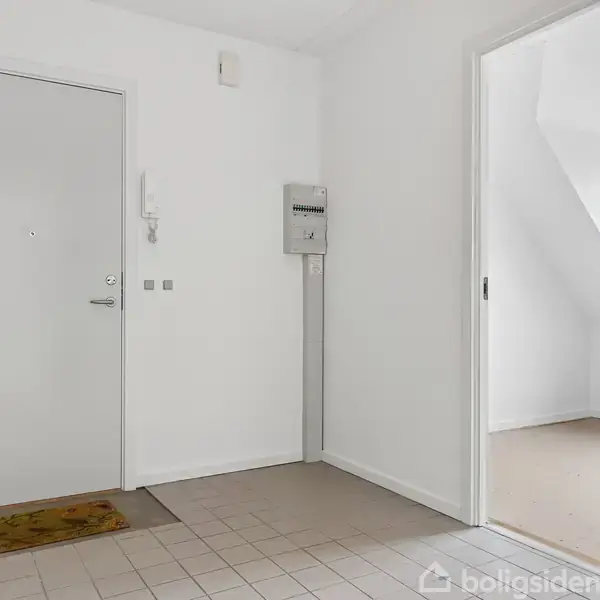 Døren står i en lys entré med klinkegulv, der fører ind til en tomt værelse med tæppe. En intercom hænger ved siden af en postkasse. Gulvmåtte ved døren.