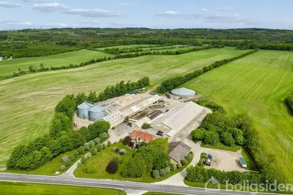 Svinegård/-jord på Hjortdalvej 33, 9690 Fjerritslev
