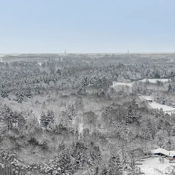 Skov dækket af sne står stille under en klar, blå himmel. Landskabet er stort og strækker sig mod horisonten, med spredte huse synlige blandt træerne.