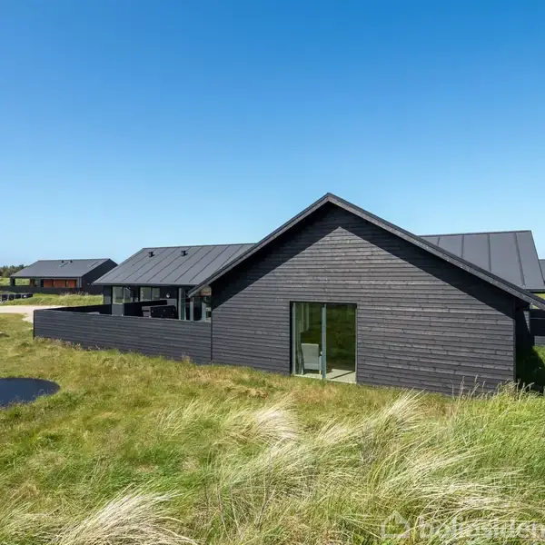 Et sort træhus står stille på en grøn eng med en trampolin i græsset. Området er præget af flere boliger og en klar blå himmel.