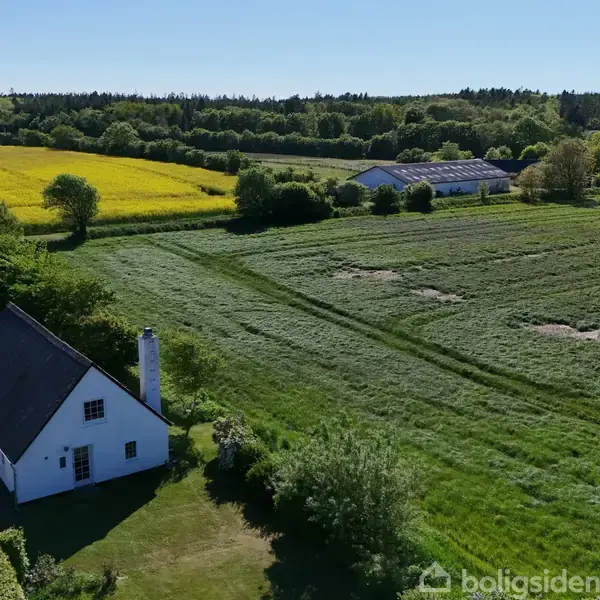 Et hvidt hus står stille ved grusvej omgivet af grønne marker og gule blomster. Fjerne træer omkranser landskabet under en klar blå himmel.