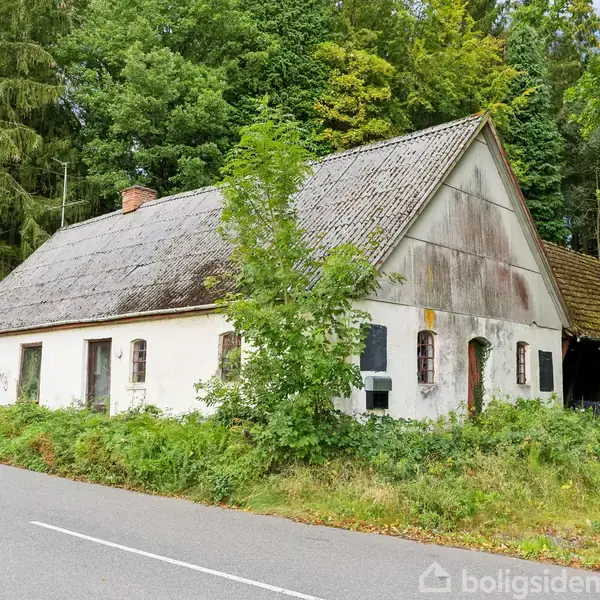 Et gammelt, hvidt hus med mosgroet tag står ved siden af en vej. Huset er omgivet af tæt, frodig skov.