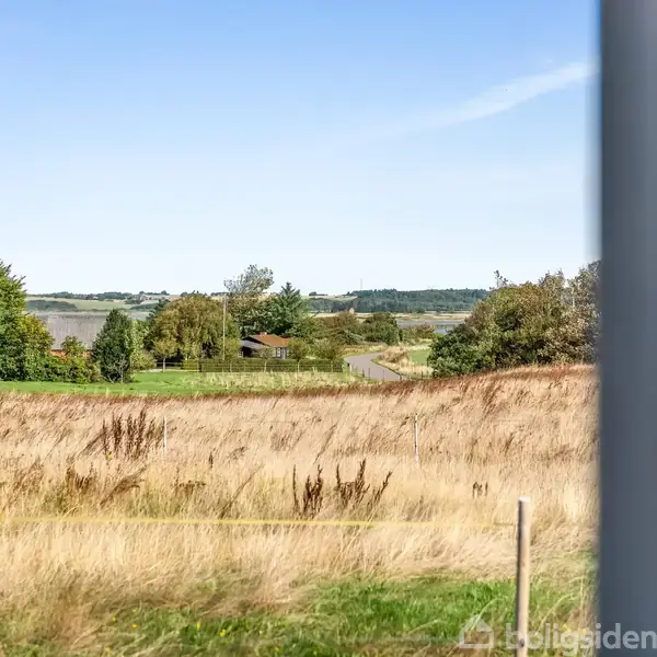 En åben mark med højt græs strækker sig foran en vej omgivet af træer under en klar blå himmel. I baggrunden ses et hus blandt træerne.
