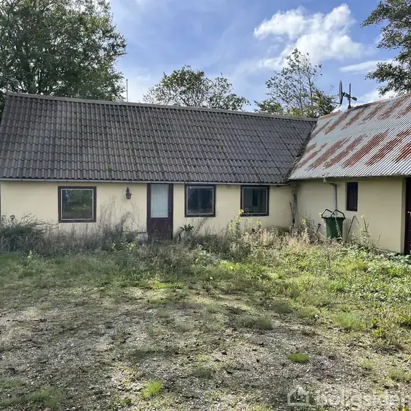 Hus med gult murværk og rødt tag står stille. Foran ses en overgroet gårdsplads med vilde planter. Området er omgivet af træer under en delvist overskyet himmel.