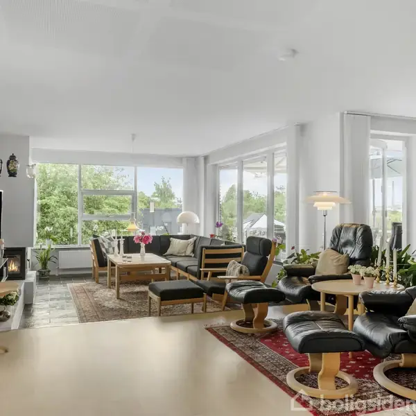 Stue med sorte lænestole og sofaer står på tæpper, omgivet af stueplanter. Lys strømmer ind gennem store vinduer, og en fladskærms-TV hænger på væggen ved siden af en lampe.