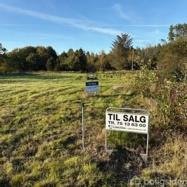 Et åbent, græsbevokset felt med to "TIL SALG" skilte i forgrunden. Det ene skilt viser telefonnummeret 75 13 63 00. Skovklædt baggrund med enkelte huse.
