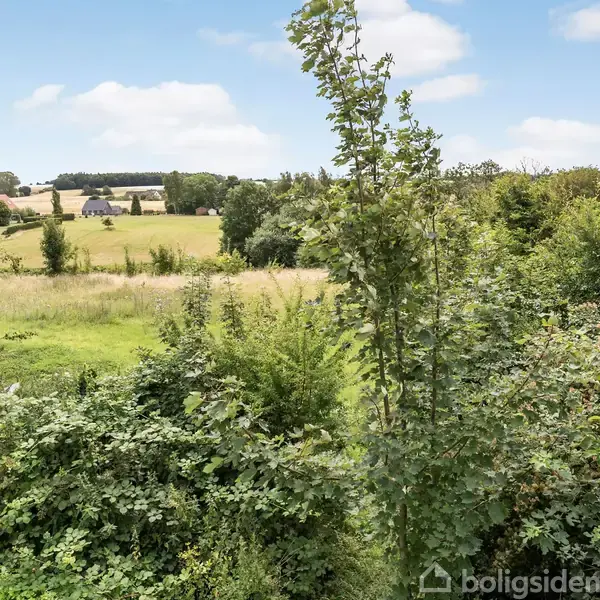 Træer og buske står i forgrunden omgivet af marker med et hus i baggrunden under en blå himmel med skyer.