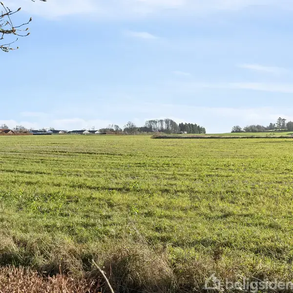Grøn mark strækker sig vidt med spredte træer og bygninger i baggrunden, under en blå himmel med lette skyer. Græsset er kortklippet, og der er lav vegetation i forgrunden.