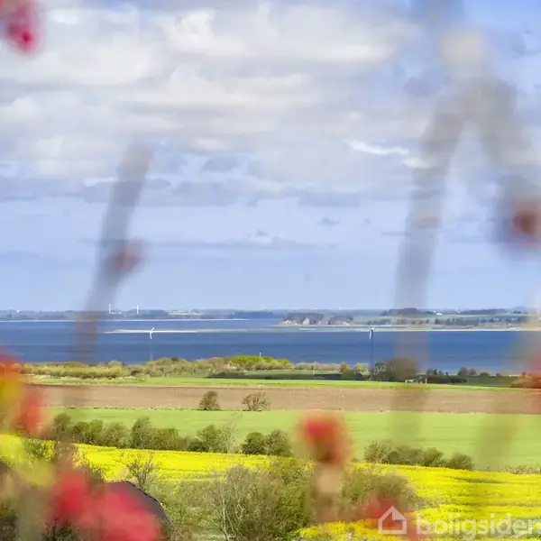Røde blomster i forgrunden indrammer en udsigt over marker og en blå fjord med huse i baggrunden under en let overskyet himmel.