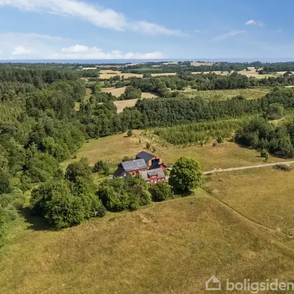 Hus i landlig omgivelser, omgivet af store græsarealer og skov. En grusvej fører til bygningen, som står alene i det åbne landskab under en blå himmel.