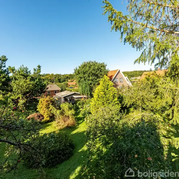 Hus omgivet af tæt, grøn have, ligger under blå himmel med flere nabohuse i baggrunden. Træerne og buskene skaber en frodig og rolig atmosfære.