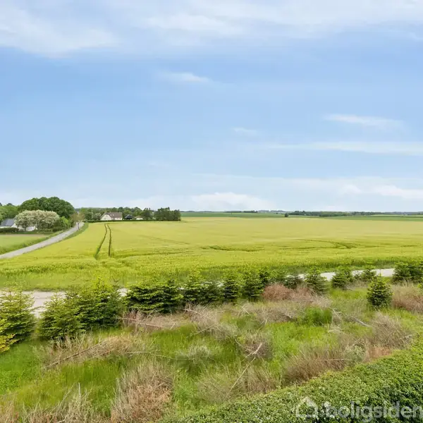 En vidstrakt mark med grønne afgrøder strækker sig ud i horisonten under en blå, skyfri himmel. En snoet vej løber langs kanten omgivet af grønne buske og træer.