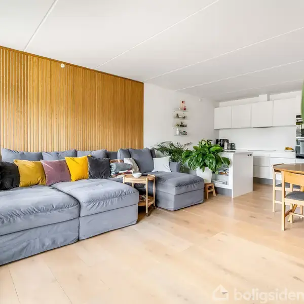 Grå sofa med farverige puder står foran en trævæg. Sofaen vender mod et lyst køkkenområde, med spisestole og et bord. Grønne planter er placeret strategisk rundt i rummet.