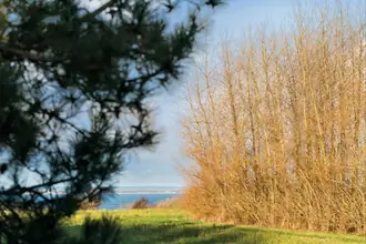 Landejendom på Oddesundvej 15, Humlum, 7600 Struer