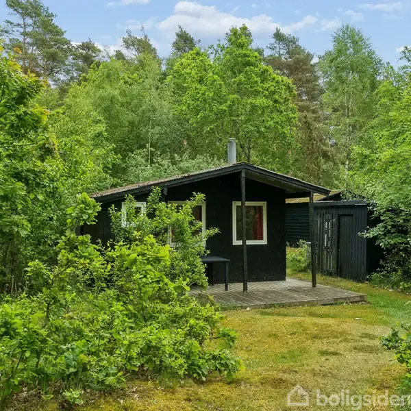 Et sort træhus står stille blandt frodig vegetation og træer. En lille terrasse med bord er foran huset, omgivet af grønne planter. Himlen er blå med få skyer.