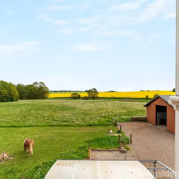 En hest græsser på en grøn mark omgivet af træer og marker med gule blomster. I forgrunden ses en indhegning og en bygning med røde mursten.