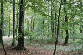 Villa på Egelandvej, 6040