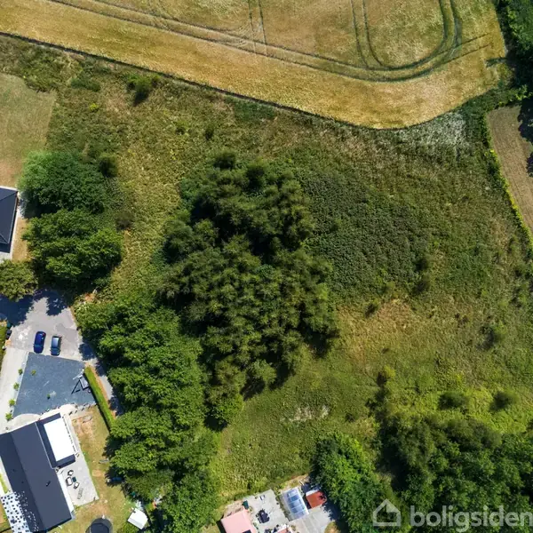 En stor græsbevokset mark med buske og træer i midten ses fra oven, omgivet af en række boliger langs en vej i nederste venstre hjørne. Boligsiden.