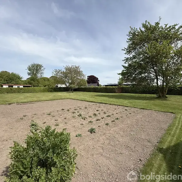 En velholdt have med et kvadratisk jordbed med små planter. Græsplæne omgiver bedet, og store træer står i hjørnerne. I baggrunden ses en lav hæk og yderligere træer.